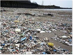 海洋プラスチックごみ問題